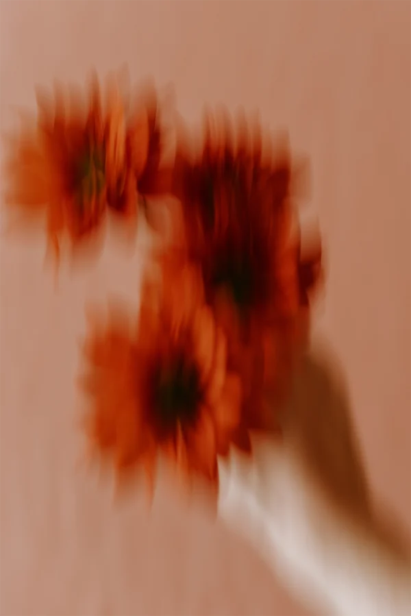 Blurry Flowers - Image 2