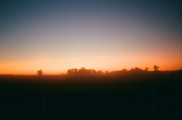 Amanecer en Junín - Image 2