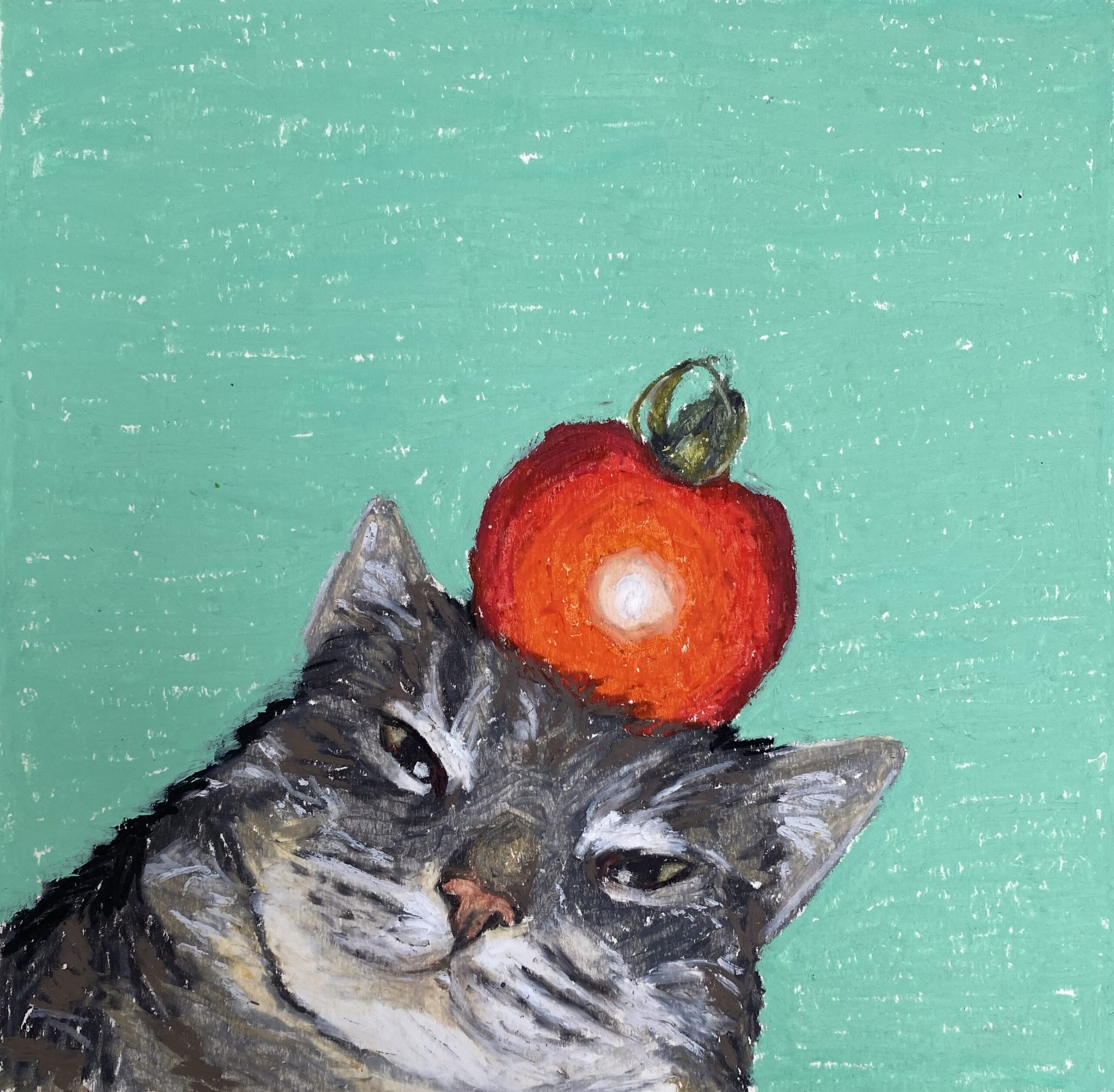 Tomate boy - Image 2