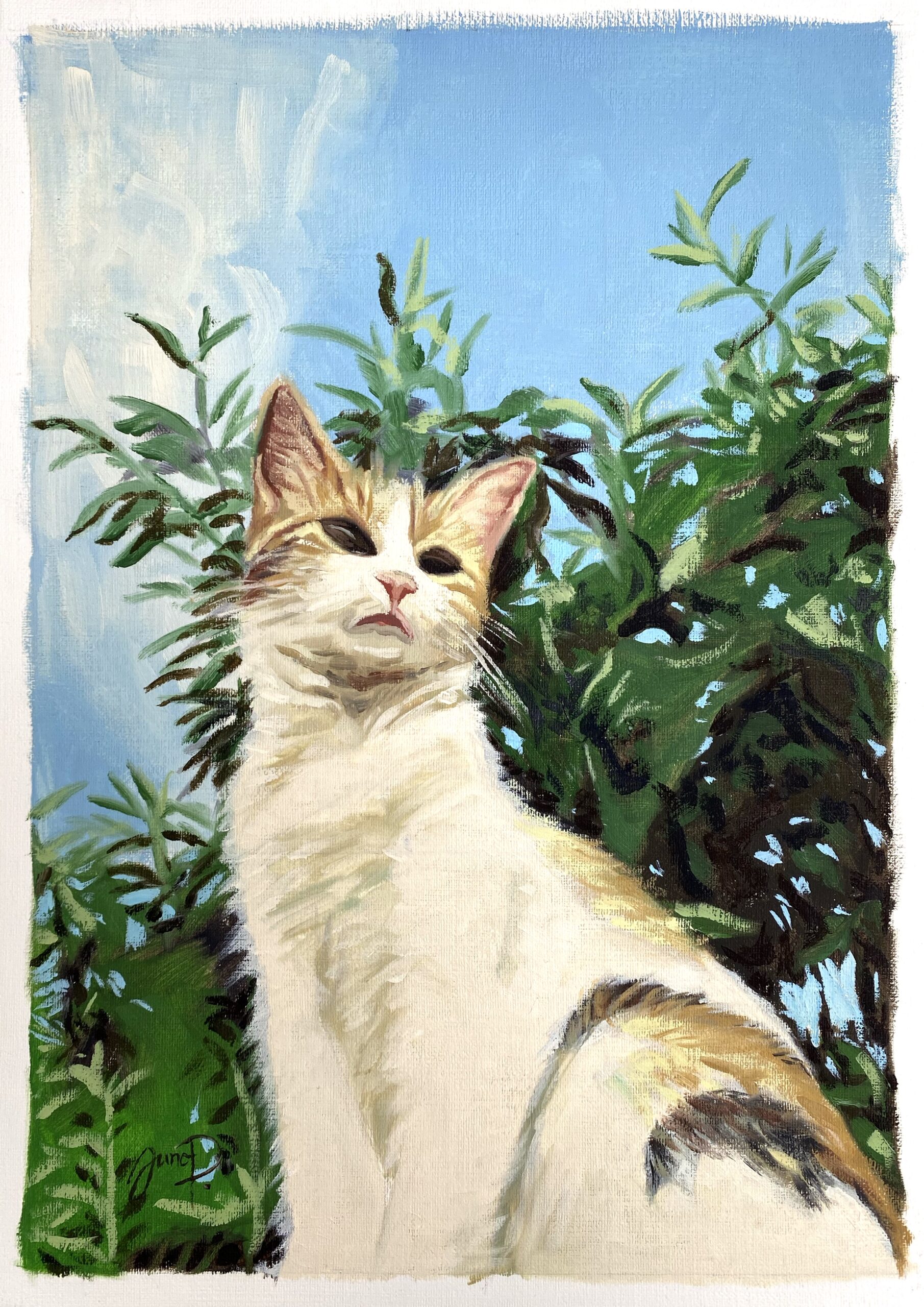 Lulita - Image 2