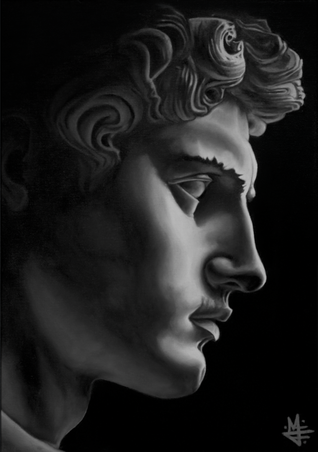 El David - Estudio Monocromo